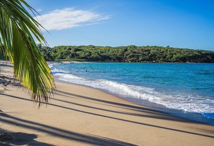 هتل Hyatt Vacation Club At Hacienda Del Mar