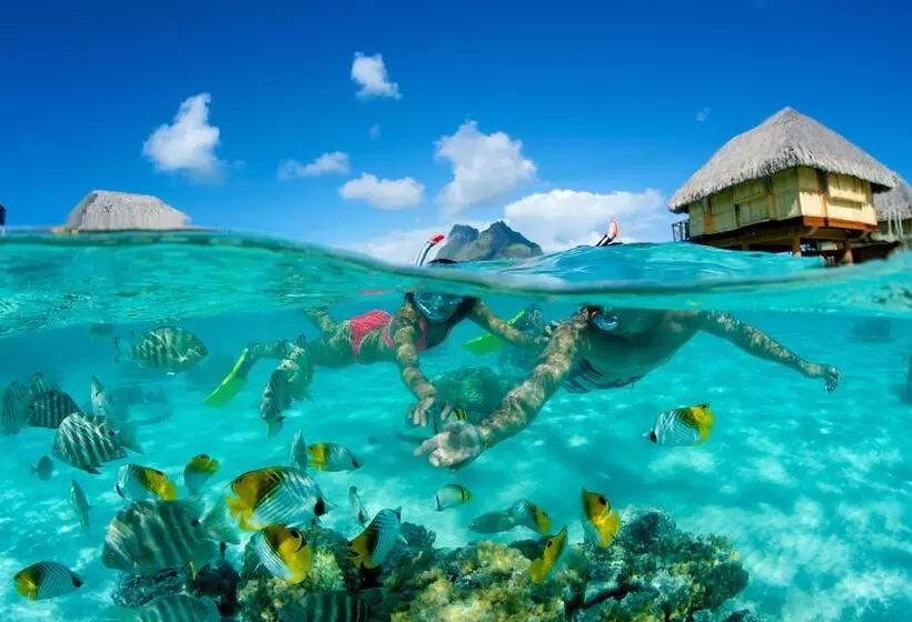 هتل Le Bora Bora By Pearl Resorts