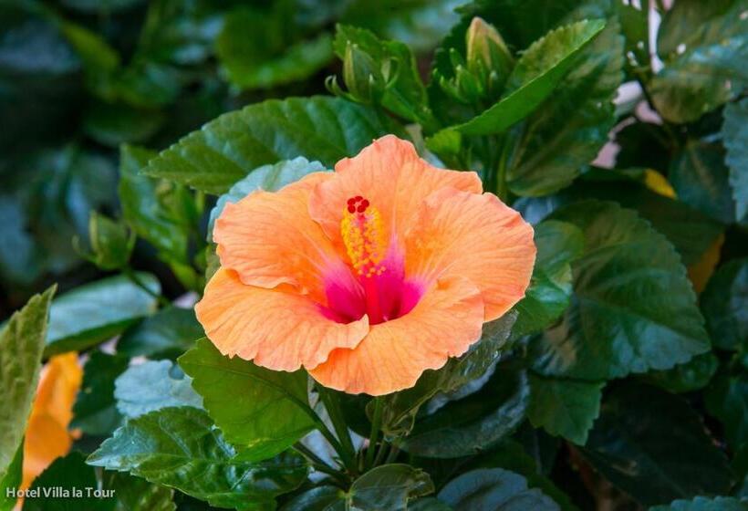 هتل Villa La Tour