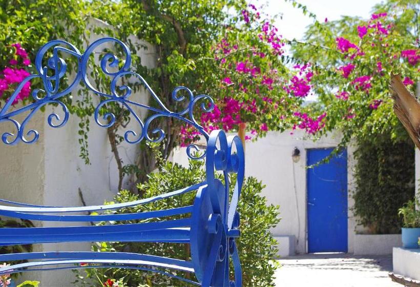 Palm Beach Hotel   Adults Only