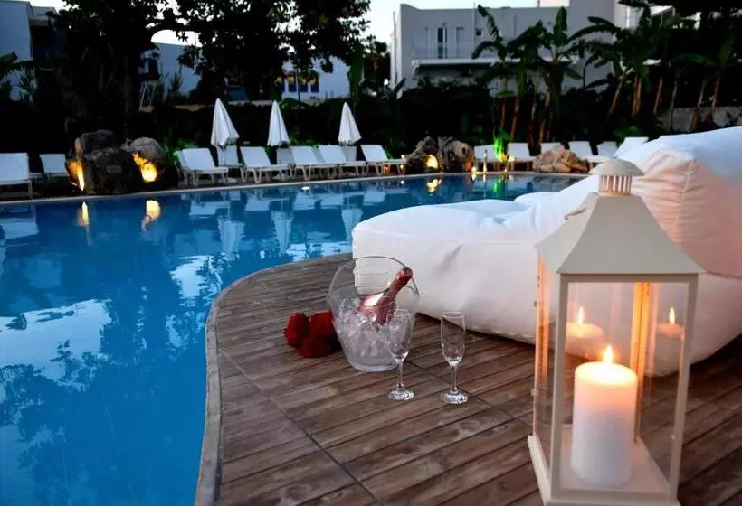 Palm Beach Hotel   Adults Only