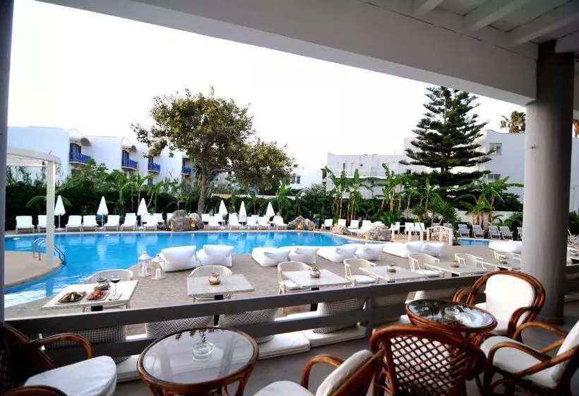 Palm Beach Hotel   Adults Only