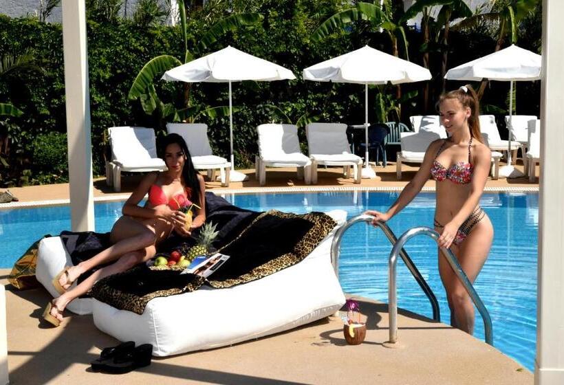 Palm Beach Hotel   Adults Only