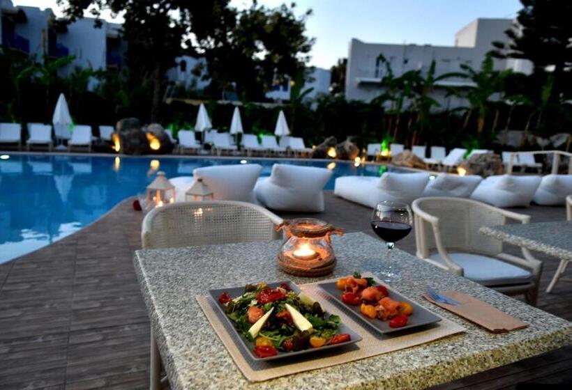 Palm Beach Hotel   Adults Only