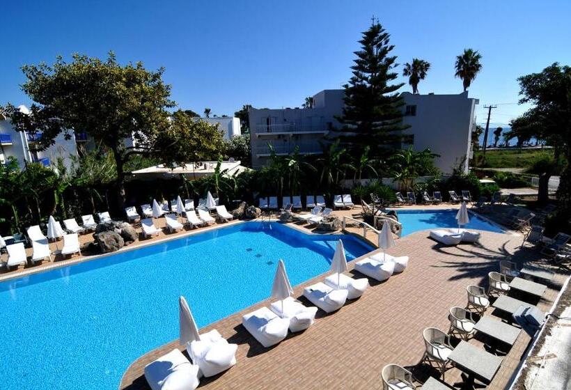 Palm Beach Hotel   Adults Only