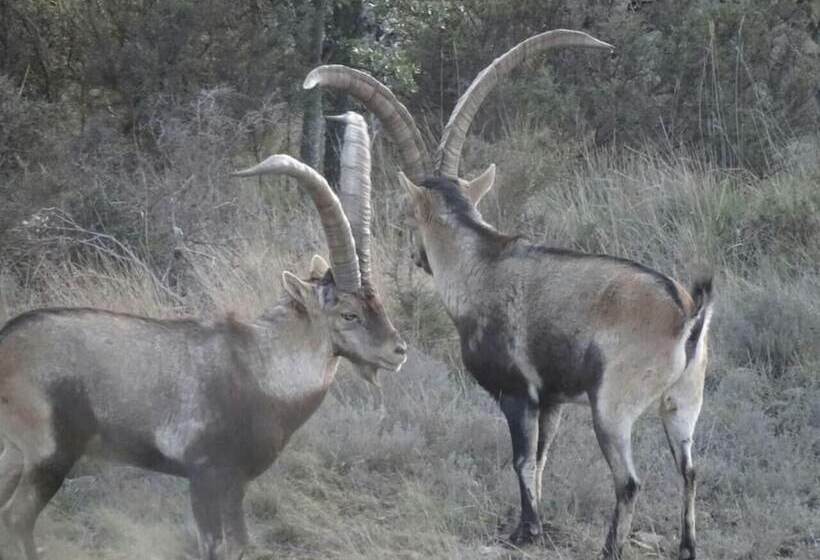 فندق صغير Casa Fausto