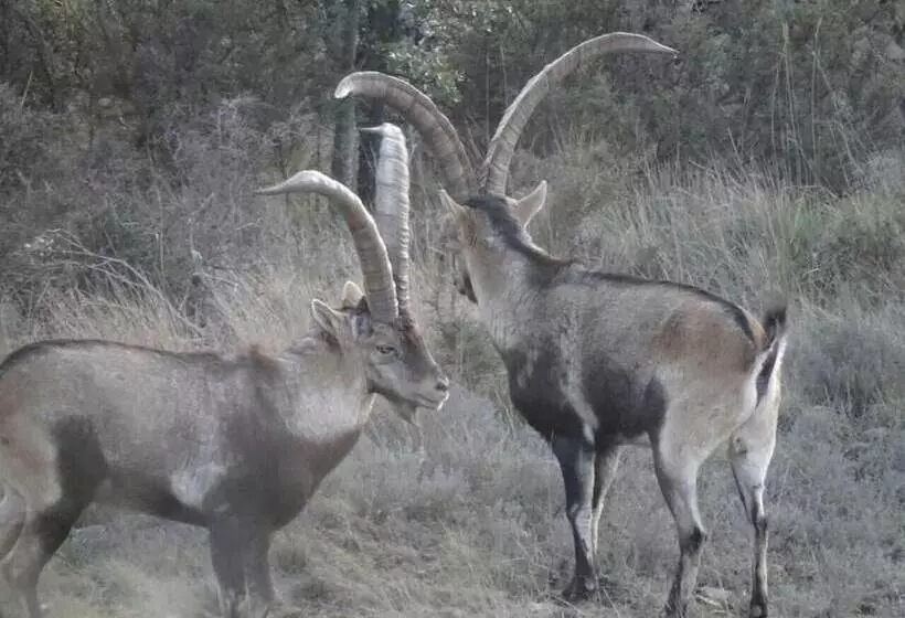 ユースホステル Casa Fausto