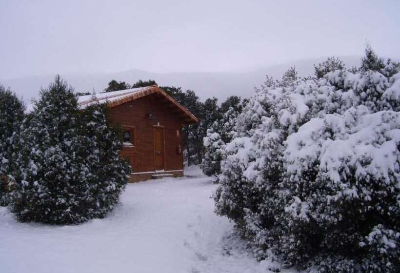 فندق صغير Casa Fausto