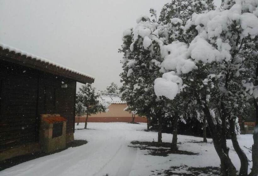 فندق صغير Casa Fausto