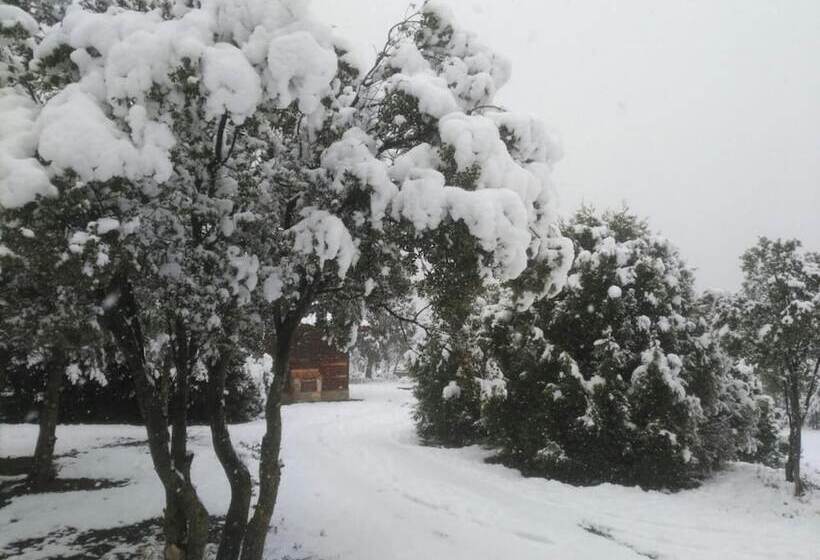 فندق صغير Casa Fausto