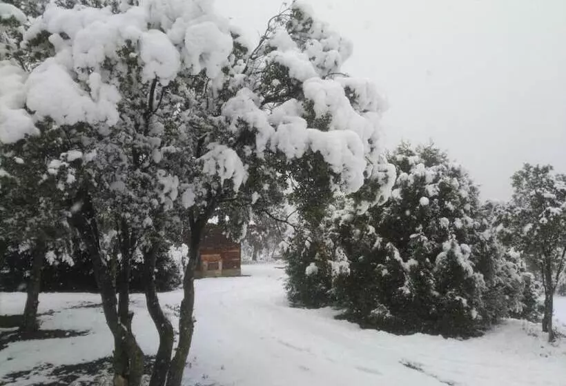 ユースホステル Casa Fausto