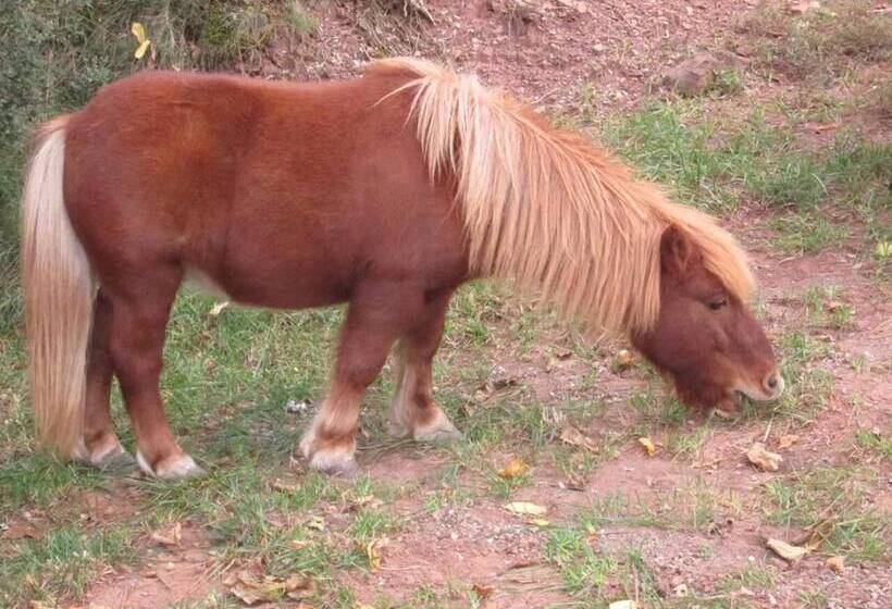 فندق صغير Casa Fausto