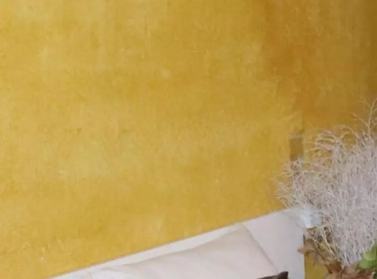 Hotelli Estalagem Schmitt Haus