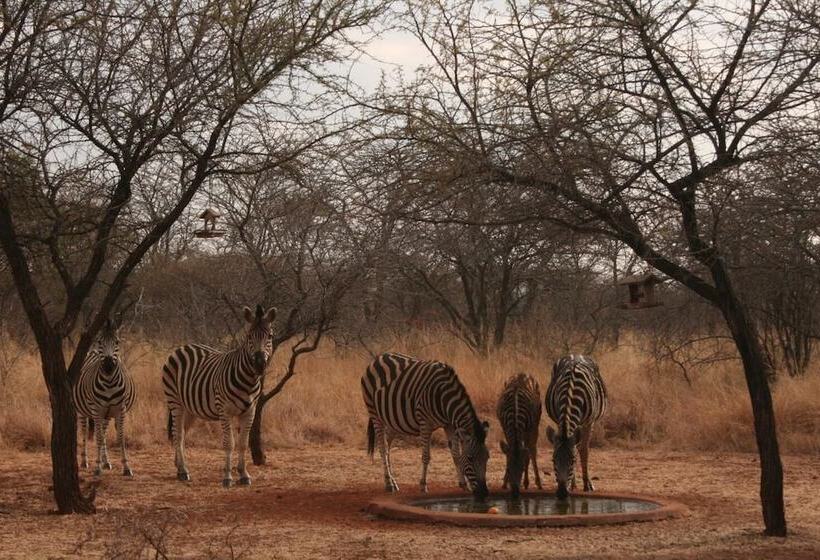 هتل Makhato 84 Bush Lodge