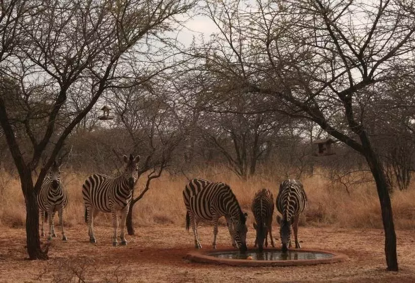 ホテル Makhato 84 Bush Lodge