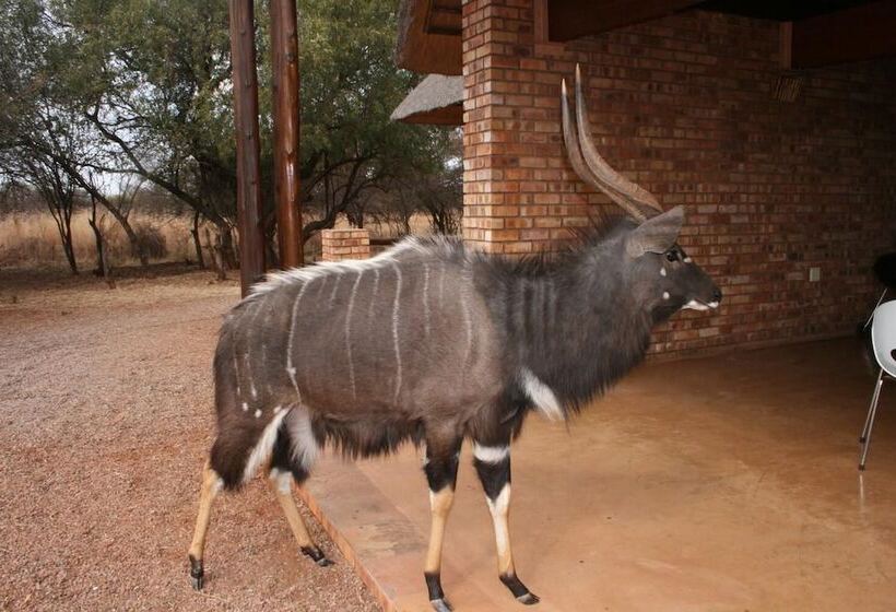 هتل Makhato 84 Bush Lodge