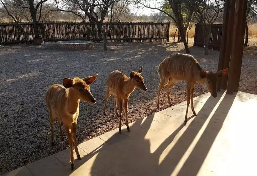 ホテル Makhato 84 Bush Lodge