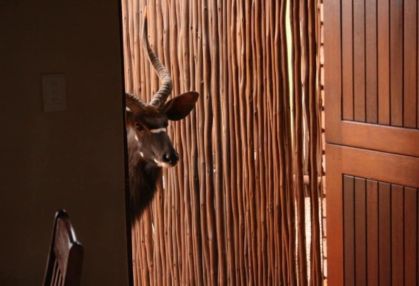 هتل Makhato 84 Bush Lodge