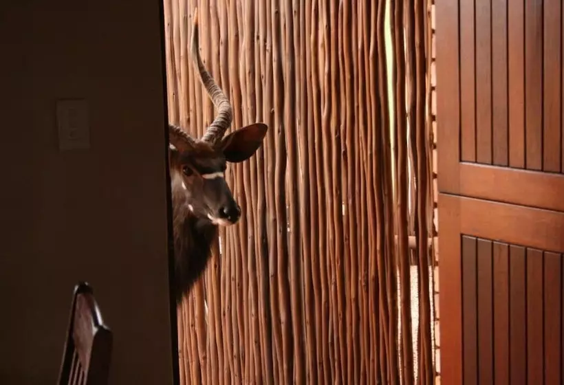 ホテル Makhato 84 Bush Lodge