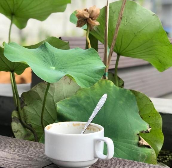 هتل Colorful Home Stay Phú Quốc