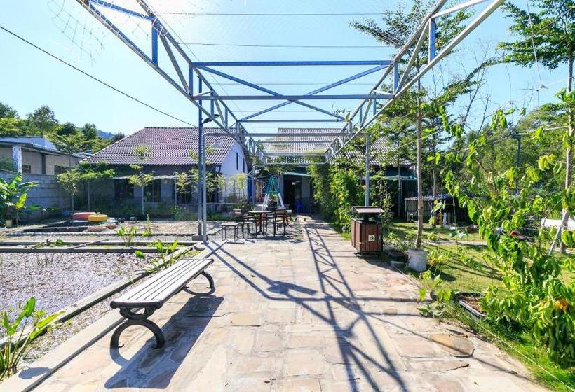 هتل Colorful Home Stay Phú Quốc