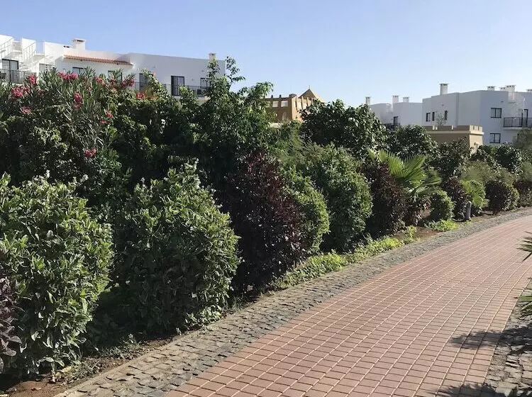 Salisland365 Holiday Apartments   Dunas