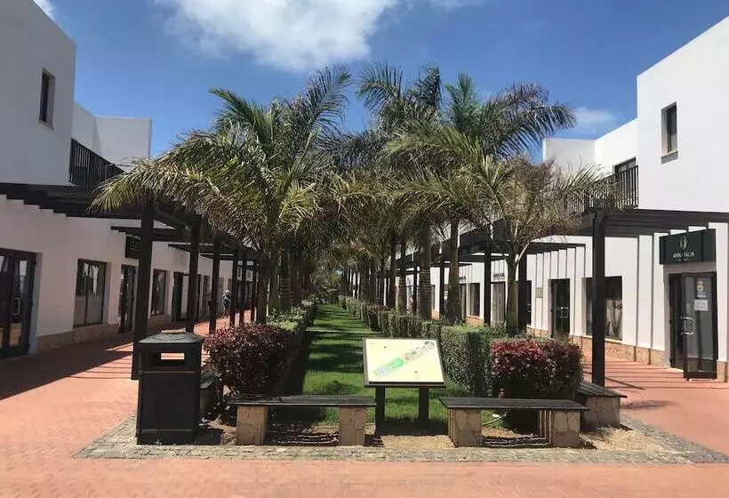 Salisland365 Holiday Apartments   Dunas