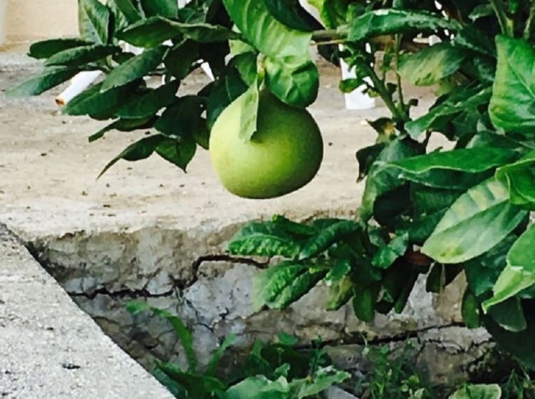 Townhouse Coral Bay Village
