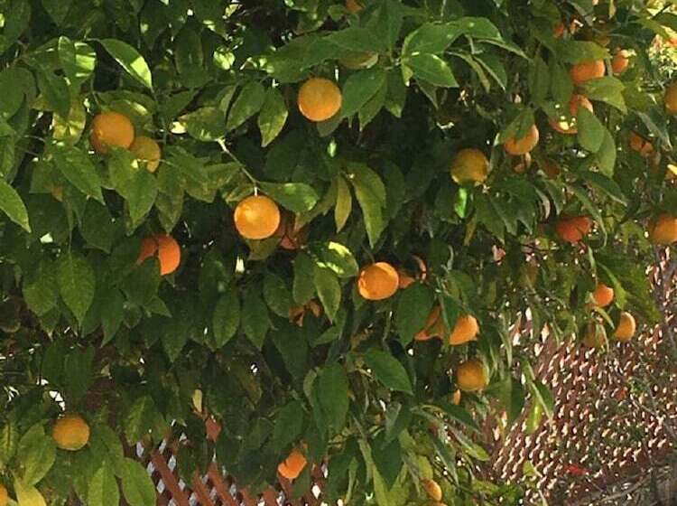 Townhouse Coral Bay Village