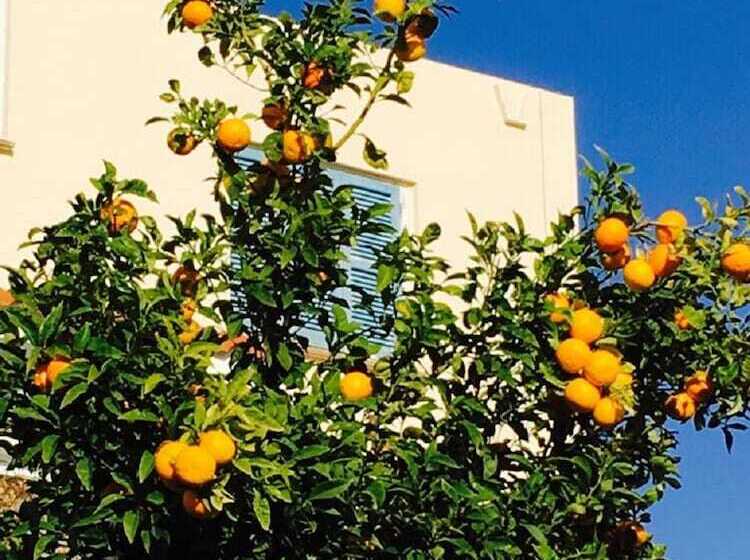 Townhouse Coral Bay Village