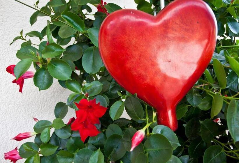 Bed and Breakfast Haus Steinbock