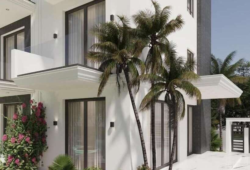 Пансион Absolute