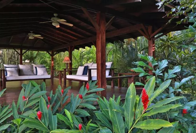 پانسیون Casa Frangipani
