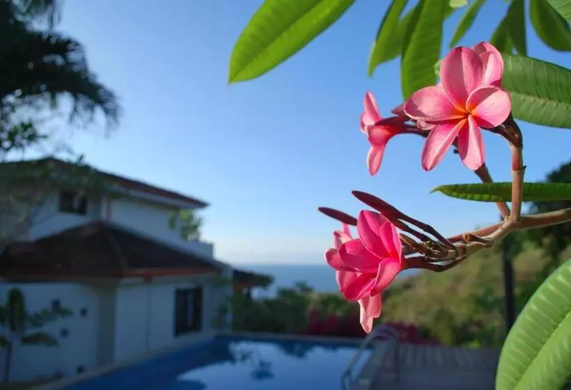 پانسیون Casa Frangipani