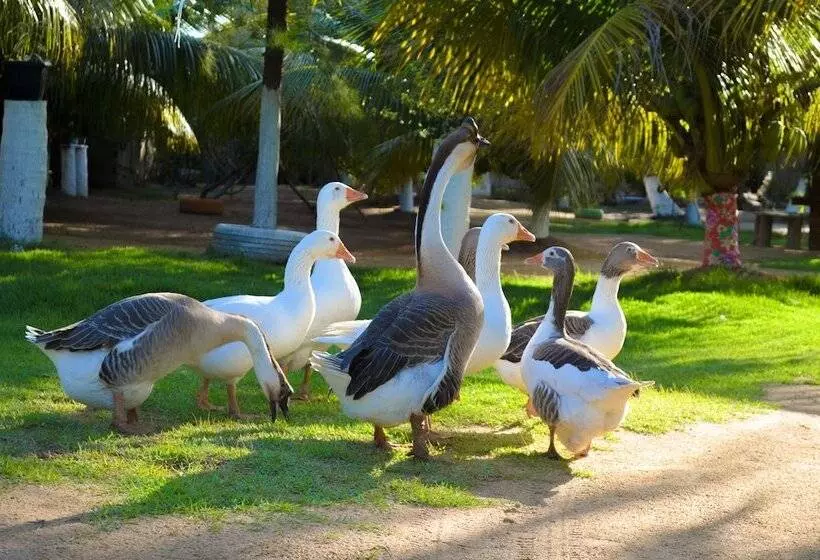 Majatalo Recanto Caiçara Pousada