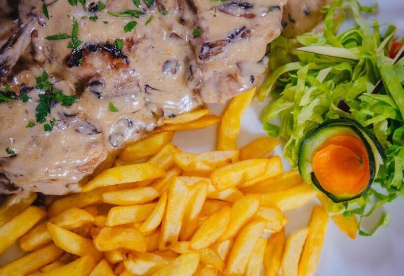 پانسیون Stari Slon