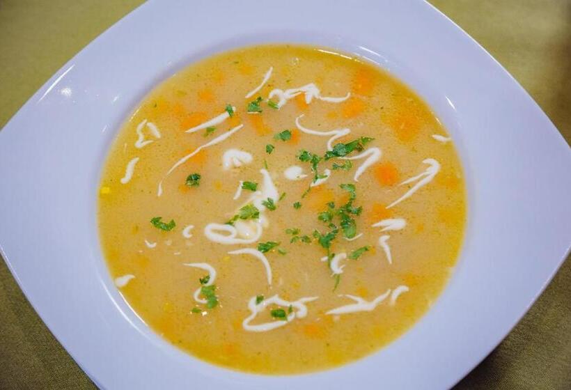 پانسیون Stari Slon