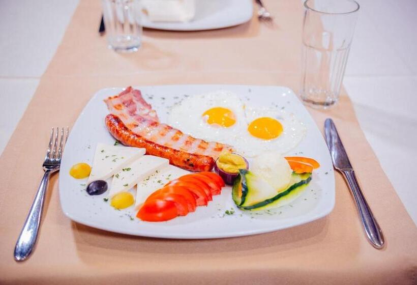 پانسیون Stari Slon