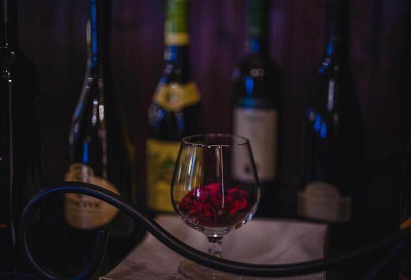 پانسیون Stari Slon