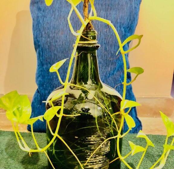 پانسیون Sunshinejp Guest House And Bick Rentel