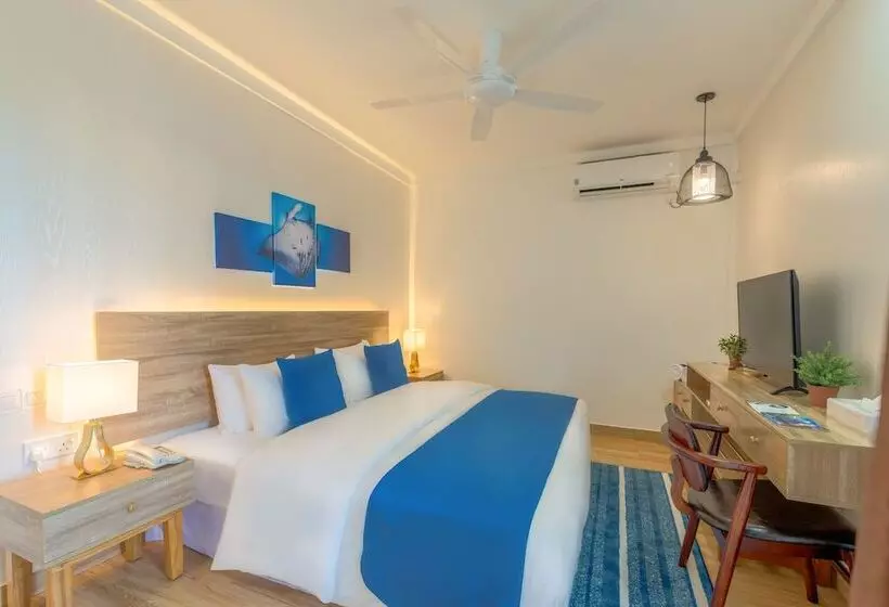 پانسیون Dhiguveli Maldives