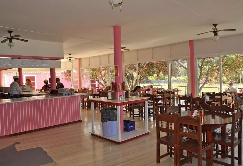 客栈 Pink Palace Beach Resort