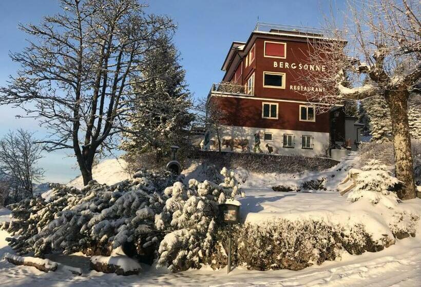 Otel Bergsonne Rigi
