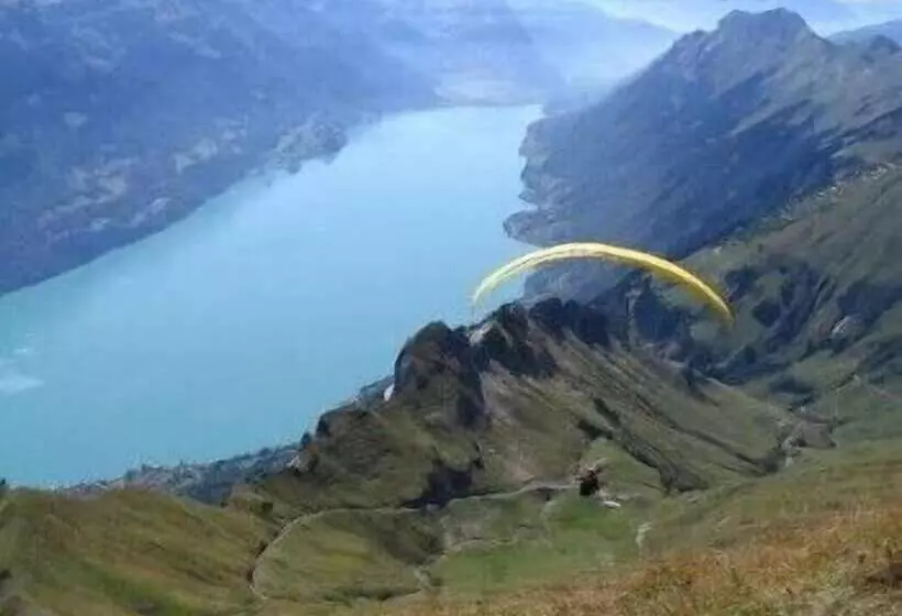 호텔 Brienzerburli