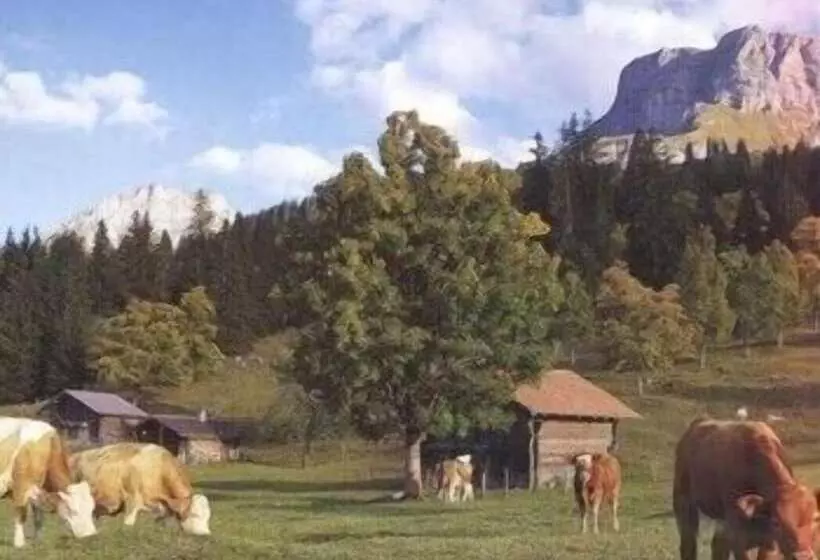 호텔 Brienzerburli