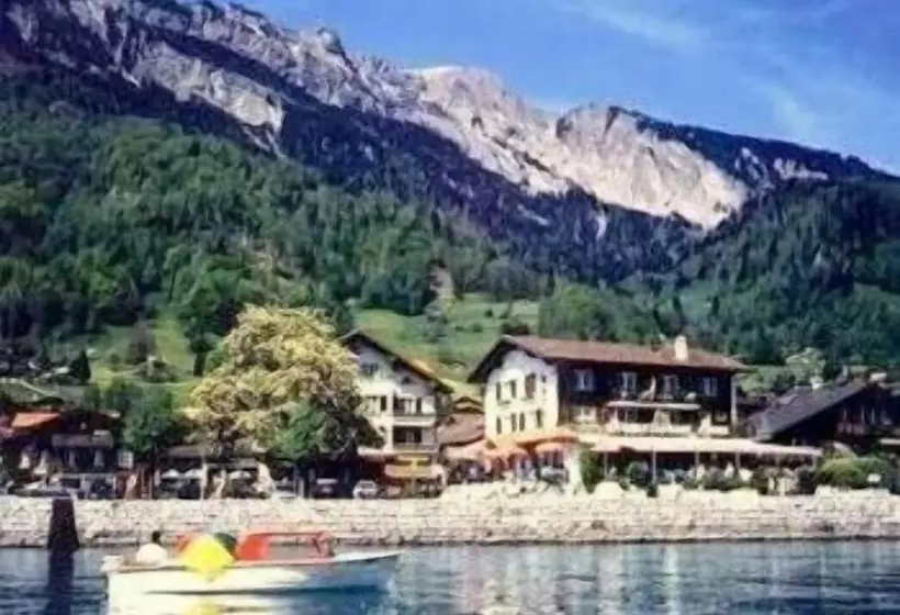 호텔 Brienzerburli