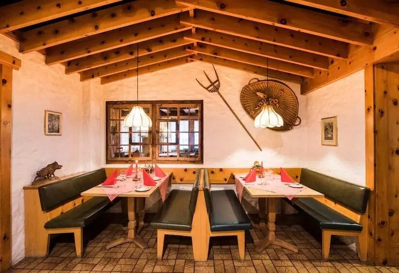 호텔 Brienzerburli