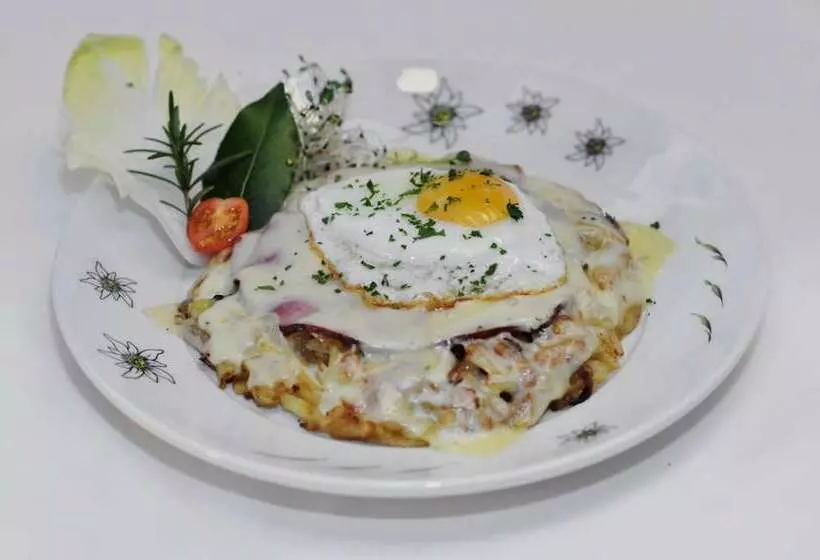 호텔 Brienzerburli