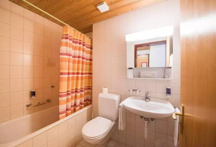 호텔 Brienzerburli