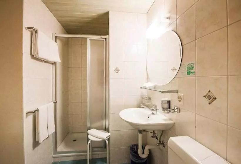 호텔 Brienzerburli